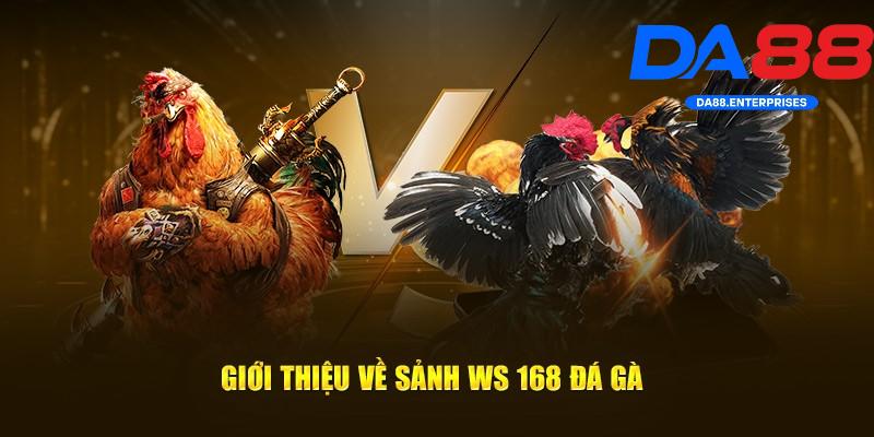 Giới thiệu về Ws168 Đá Gà